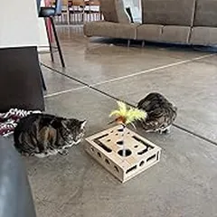 Gato usando el rascador