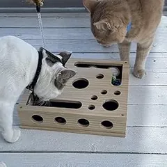 Gato usando el rascador